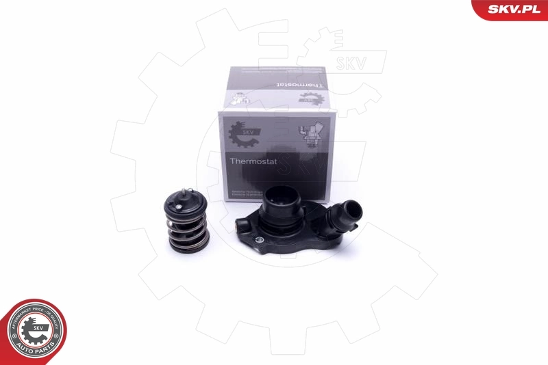 Thermostat, coolant